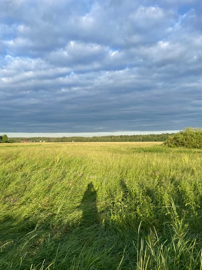 The image shows a vast, sun-drenched meadow in the village of Turovo, Russia, under a dramatic sky filled with heavy, grey clouds interspersed with patches of blue. The foreground is dominated by tall, green grass, swaying gently and casting long shadows. Two distinct human shadows are visible on the grass, suggesting the presence of at least two people. In the middle ground, a line of dense green trees stretches across the horizon, with a few scattered red-roofed buildings visible peeking through the foliage on the left side, indicative of a rural settlement. The overall impression is one of a serene, late afternoon scene in the Russian countryside.