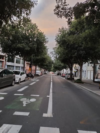 This media file depicts a street scene in Perpignan, France. The perspective is from a low angle, looking down a road lined with trees and buildings. The time of day appears to be dusk or dawn, as indicated by the soft, warm light in the sky and the muted colors of the environment. The weather seems calm.
The road is paved and marked with white lines, including a designated bike lane indicated by a green painted area with a bicycle symbol. Several cars are parked along the side of the road, including a dark grey hatchback on the left and a white car behind it. Further down the street, more parked vehicles are visible, along with a motorcycle. Buildings flank both sides of the street, featuring balconies and windows. Some buildings have colorful facades, while others are more neutral in tone.
On the right side of the street, a large billboard is partially visible, featuring an advertisement with text that includes "rab". The overall mood of the scene is quiet and ordinary, capturing a typical urban street during a transitionary period of the day. There are no people visibly active in the scene, suggesting a moment of stillness. The environment appears well-maintained, with the trees contributing to a somewhat serene atmosphere.