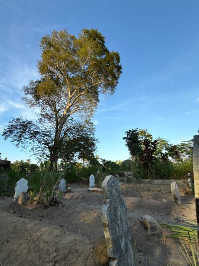 The image captures a section of a cemetery located in Uleereuleung, Indonesia. In the foreground, a large tree dominates the scene, its branches extending toward a clear blue sky with a sliver of moon visible in the upper left. Below the tree, the ground is covered with dirt and grass, interspersed with numerous grave markers of varying shapes and sizes. Some of the markers appear to be made of stone, while others are white. The overall impression is that of a tranquil, somewhat overgrown burial ground set against the backdrop of a clear sky.