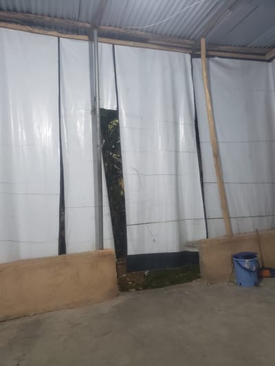 This image depicts the interior of a partially constructed or renovated structure, likely a shed or storage area, in Iganmu, Nigeria. The scene is characterized by construction materials and a utilitarian setting.
The primary subjects are the building materials. Large sheets of white material, possibly plastic sheeting or insulation, are used to cover the walls and ceiling. These sheets are secured with wooden planks and a metal pipe runs horizontally across the lower portion of the wall. A section of the wall is covered with a dark material featuring a camouflage pattern of green, brown, and black. In the upper right corner, a blue bucket hangs from a wooden support, with what appears to be a dark object attached to its handle. The floor is made of concrete.
There is no clear activity or event taking place in the image; it appears to be a static view of the construction site. Notable details include the use of corrugated metal on the left side, which suggests it might be an existing structure being modified. The lighting suggests it could be daytime, but the interior is somewhat dim. There are no visible people or overt signs of recent human activity. The overall impression is one of an unfinished or in-progress building project. No text is visible in the image.