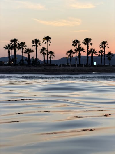 This media file captures a serene beach scene at dusk, likely in Castelló de la Plana, Spain. The image is oriented vertically. In the foreground, the calm water reflects the ambient light, creating undulating patterns of blues, grays, and warm tones of orange and pink from the sunset. The water's surface is smooth, with gentle ripples disturbing the reflections.

To the left of the water, a sandy beach is visible, lined with a row of silhouetted palm trees. The palm trees are tall and slender, with their fronds fanned out against the pastel-colored sky. The sky transitions from a pale yellow near the horizon to a soft pink and then a muted blue as it ascends. Faint, wispy clouds are present in the sky.

Further back, a dark, mountainous silhouette can be seen behind the palm trees, suggesting the coastal landscape of the region. Small lights, possibly streetlamps or decorative lights, are intermittently visible along the beach behind the palm trees, hinting at a populated area or a promenade.

The overall mood of the image is peaceful and tranquil, evoking a sense of relaxation and the end of a warm day. The time of day is clearly sunset, indicated by the soft, warm light and the lengthening shadows. No people or distinct objects are prominently featured, with the focus being on the natural elements of the beach, water, and sky, and their interplay of light and reflection. No text is visible in the image.