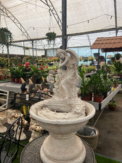 The image shows a statue of an angel in a greenhouse. The statue is made of a light-colored material and depicts an angel resting its head on its hand. The greenhouse is filled with plants and flowers. The location is in the city of Zvulun Regional Council, Israel.
