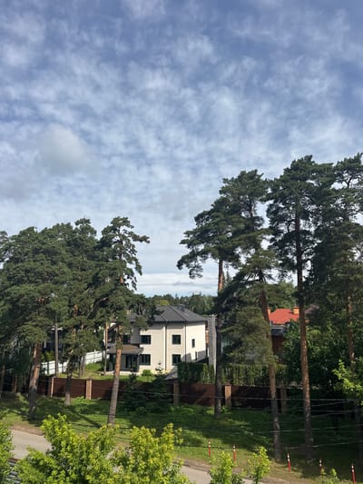 The image depicts a suburban residential area with a cloudy sky overhead. Several large pine trees dominate the foreground and mid-ground, their branches reaching towards the sky. Behind the trees, there are modern houses with light-colored exteriors and dark roofs, typical of the architecture found in suburban communities like Лесные Поляны, Russia. A brown metal fence encloses the properties, and a paved road is visible in the lower left portion of the frame, bordered by lush green bushes. The overall scene suggests a quiet, well-maintained neighborhood on a partly cloudy day. No people or animals are visible in the image.