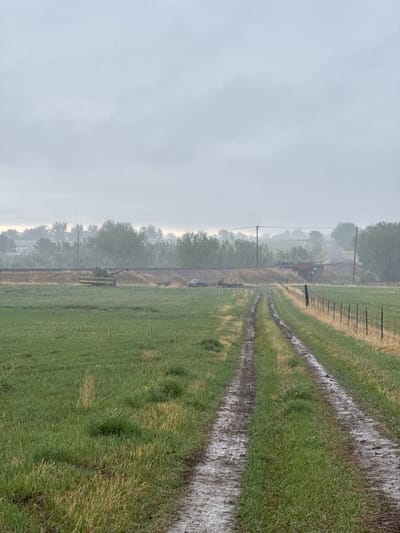 A landscape photograph, taken on an overcast day, shows a field of green grass with parallel muddy tracks running through it. The tracks suggest vehicle or animal movement, and their color indicates recent rain or damp conditions. A fence runs along the right side of the tracks, dividing the field from an area with trees and what appears to be a parallel railroad track. Power lines are also visible, running adjacent to the track, with utility poles supporting them. The left side of the image is dominated by a gray, overcast sky, which obscures the horizon. There is no explicit information in the picture that confirms the location in the city of Boulder, United States. Therefore the assumption is that the image is just an agricultural field.