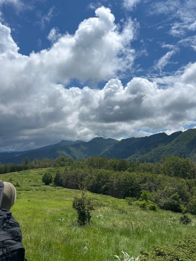 The image depicts a landscape scene in the city of Ribaritsa, Bulgaria, on a partly cloudy day. In the foreground, a person is visible on the left side, partially cropped out of the frame, wearing dark clothing. The midground features a lush, green grassy field with scattered trees and bushes. Beyond the field, rolling hills covered in dense green forest stretch into the distance, leading to a range of mountains under a sky filled with dramatic white and grey clouds. The overall environment is natural and mountainous.