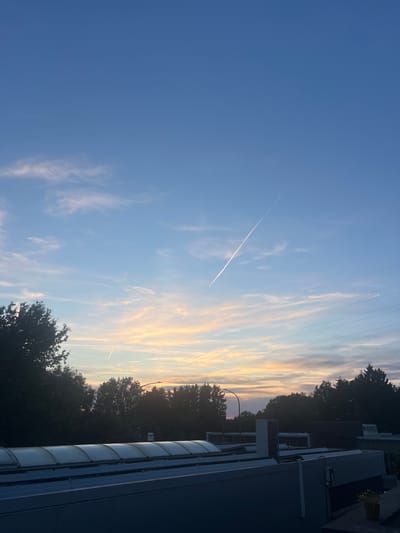 This is a vertically oriented, low-angle photograph taken at dusk in Neuville-en-Condroz, Belgium, overlooking the rooftops of a commercial or industrial area. The sky dominates the upper two-thirds of the frame, transitioning from a deep blue at the top to soft pastel hues of pink, orange, and yellow near the horizon, indicative of sunset. Several wispy clouds are scattered across the sky, and a prominent white contrail from an airplane stretches diagonally from the lower right towards the upper left. Below the sky, a dense line of dark green trees forms a silhouette against the fading light, with a street lamp visible among them. In the foreground, the metallic, curved roofs of several modern buildings are visible, casting shadows and creating a geometric contrast with the organic shapes of the trees and clouds. Power lines are strung horizontally across the upper portion of the scene, intersecting the sky. No people or animals are present in the image. The overall impression is one of a calm evening transition in an urban fringe environment.