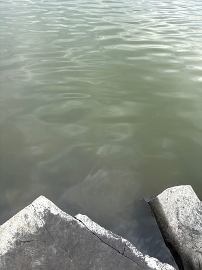 The image shows a body of water with ripples on its surface, bordering a textured concrete structure. The water is a muted green-gray color, reflecting the sky and creating subtle patterns of light and shadow. The concrete appears to be weathered, with cracks and a rough, speckled surface. The scene is likely an outdoor location, potentially a waterfront area or a canal within Chernogorsk, Russia, given the provided context. There are no people or animals visible in the frame. The overall impression is one of a calm, slightly overcast day by the water.