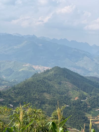 This photograph depicts a mountainous landscape in the Mậu Duệ Commune, Vietnam. The foreground features green vegetation, including tall stalks of corn-like plants with seed heads. The middle ground comprises a series of overlapping, densely forested mountain ridges. Some cultivated terraces or fields are visible along the slopes. The background shows more distant mountain ranges fading into a hazy blue. The sky is overcast with light clouds.