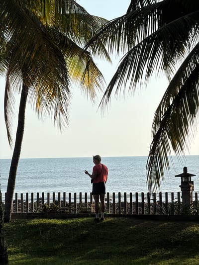 A person stands on a lawn facing the ocean in Pekutatan, Indonesia. The person is wearing a red t-shirt and dark shorts, and is holding a phone in their right hand. Behind the person, there is a wooden fence with a stone Japanese lantern to the right. The ocean is calm and the sky is clear. Palm trees are visible in the foreground and background. The scene appears to be a resort or a park.