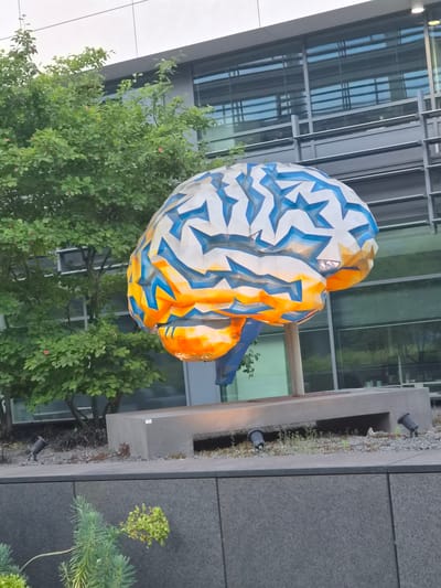 This image captures a large, stylized sculpture of a human brain located outdoors in the city of Sanem, Luxembourg. The sculpture exhibits a multifaceted, geometric design, with its superior and anterior regions predominantly white and blue, and its inferior and posterior regions colored orange and yellow. It is supported by a vertical, light-colored pole that emerges from a substantial, rectangular light-grey concrete plinth.
The plinth is situated on a raised, landscaped bed covered with light-colored gravel and sparse green vegetation. Three black ground-level spotlights are visible on this bed, pointed towards the sculpture or surrounding area. In the background, a modern building with a multi-story glass facade and light grey structural elements is visible, reflecting parts of the sky and environment. To the left of the sculpture, a leafy green tree with small red fruits or berries stands prominently. In the immediate foreground, a succulent-like plant with grey-green foliage and clusters of light green floral structures or seed pods is visible, positioned against a dark grey, textured retaining wall. No people are visible in the scene.