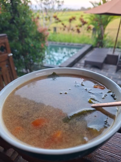The image shows a bowl of soup with a spoon resting on a dark wooden surface. The soup appears to contain vegetables. In the blurred background, a green lawn, trees, bushes with pink flowers, a pool, and outdoor furniture are visible. The location is Lodtunduh, Indonesia.