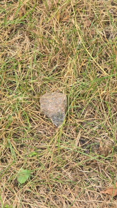A single, gray, angular rock is nestled amongst dry, yellowed grass and some sparse green blades. The rock has a rough texture with visible flecks of darker and lighter material. The surrounding environment is a patch of ground covered in a mixture of dead and living grass, suggesting an outdoor, possibly unmaintained, area. The image provides a close-up, ground-level perspective of this scene.
