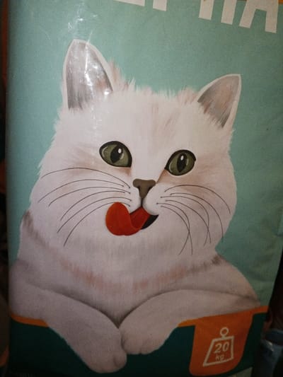 A close-up photograph, taken in Madinaty, Egypt, displays the packaging of a retail product, likely cat food. The central feature is a large, stylized illustration of a white cat with subtle light brown markings. The cat has prominent green eyes, a brown nose, and numerous black whiskers. Its bright orange tongue is extended to the left, licking its lips. The cat's front paws are visible, resting on a dark teal lower border. In the bottom right corner of this border, an orange tab contains a white weight icon and the text "20 kg". The background behind the cat is a solid light teal color, with slight reflective glare visible on the surface, indicative of plastic packaging.