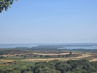 The image captures a panoramic view of a landscape, likely from a high vantage point, overlooking a body of water and a distant urban coastline. The sky is a clear, pale blue, with a few branches and leaves from a tree visible in the upper left corner, suggesting it is a sunny day.
The foreground is dominated by lush green vegetation, including dense bushes and trees. Moving further into the mid-ground, the landscape transitions to heathland with patches of brown and sparse vegetation, interspersed with sandy paths and some scattered trees. A golf course is visible, with manicured green fairways and sand traps.
In the background, a wide expanse of calm, blue water stretches across the frame. Beyond the water, a hazy coastline is visible, characterized by a line of buildings and structures that suggest a town or city. The presence of several boats on the water and the clear visibility of the distant buildings indicate a relatively clear atmosphere, despite the haze.
While the image provides a general overview of a landscape, it does not contain any explicit details that would pinpoint the exact location within Corfe Castle, United Kingdom. However, the combination of coastal features, heathland, and a golf course could be characteristic of certain areas within or near the Dorset region, where Corfe Castle is situated. There are no people or specific actions depicted in the image.