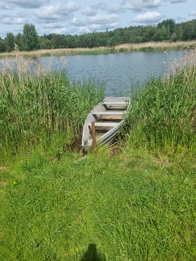 A serene, natural scene unfolds in the city of Kalniškiai, Lithuania, featuring a small, weathered wooden boat partially submerged near the shore of a tranquil lake. The boat, with its wooden planks and metal trim, rests amidst tall green reeds and lush grass. The lake itself is calm, reflecting the light blue sky dotted with fluffy white clouds. In the background, a dense forest of green trees forms a picturesque horizon, with a scattering of taller birch trees adding variety. The overall atmosphere is one of peaceful solitude and natural beauty.
