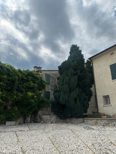 In the town of Caniezza, Italy, a paved courtyard with a white pebble surface is shown. The courtyard is bordered by a low stone wall. To the left, a building is covered in dense green foliage, with a stone structure and steps visible behind it. A tall, conical evergreen tree stands prominently in the center of the image. To the right, a light-colored building with green shutters and a decorative window is visible. The sky above is overcast with dramatic, dark clouds.