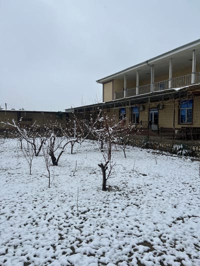 A snow-covered landscape reveals a house with a multi-level veranda along the top edge. Bare trees stand in the foreground, dusted with snow. The ground is unevenly covered, showing a pattern of snow atop what seems to be grass or other vegetation. The sky is overcast and appears to be a winter's day. The image is rotated slightly counter-clockwise.