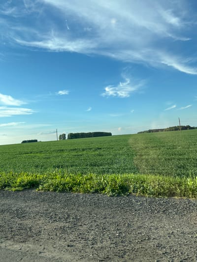 The media file captures a scenic view of a rural landscape under a bright blue sky dotted with wispy white clouds. The scene is divided into three main parts: the sky, a vast green field, and a dark asphalt road.

The sky occupies a significant portion of the frame, showcasing its clear expanse and scattered, delicate clouds. The field, a vibrant green, stretches horizontally across the image, suggesting it is a cultivated area, possibly a crop field. Along the edge of the field, a dark, textured asphalt road runs parallel to the field, implying a rural road or pathway. In the distance, a line of trees marks the horizon, providing a natural boundary to the expansive field. Several utility poles are visible in the field, with wires stretching across, indicating the presence of infrastructure in this rural setting.

The lighting suggests it is daytime, with the sun illuminating the scene and casting a clear light on the landscape. The weather appears to be fair and pleasant, suitable for outdoor activities. The overall impression is one of tranquility and openness, characteristic of a countryside setting. No people or specific objects are prominently featured, with the focus being on the natural elements and the expanse of the landscape. No text is visible in the image. The location context provided is Ilteryakovo, Russia.