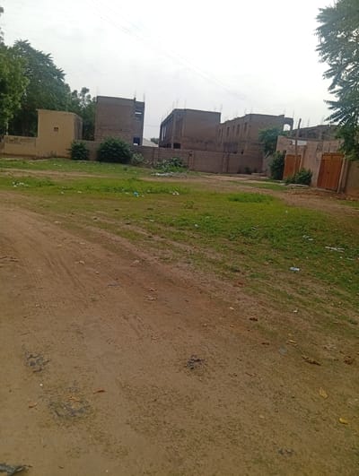 A dirt road leads towards a cluster of unfinished buildings in Dutse, Nigeria. The buildings, made of concrete blocks, appear to be in various stages of construction, with exposed rebar visible on the roofs. One building has a light-colored facade with a small, decorative opening. A low, light-colored wall extends from this building, separating it from a patch of green grass. To the right, a tall, light-brown fence with two large, metal gates encloses another property. The area around the buildings is overgrown with weeds and scattered with debris. The sky is overcast. The dirt road in the foreground is marked with tire tracks and has patches of sparse vegetation.
