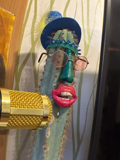A close-up shows a cactus with a blue hat, teal-colored wrap, round sunglasses, and red clay lips with teeth. A gold microphone stands in front of the cactus, and the scene sits on a surface with a patterned background, likely indoors. The image does not reveal any information to determine its location as Novo-Nikol'skoe, Russia.