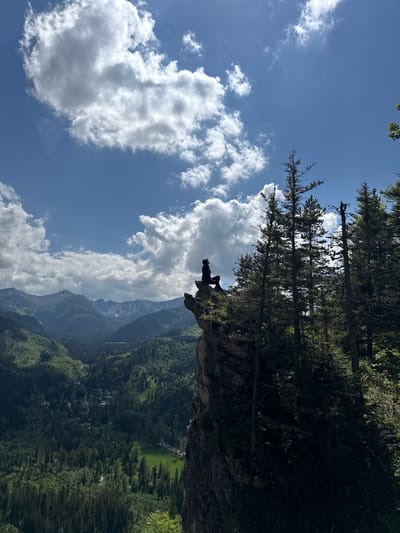 The image, captured in a vertical orientation, displays a breathtaking mountain landscape, indicative of the Tatra Mountains near Zakopane, Poland. In the foreground, a single individual is prominently silhouetted against the bright sky, sitting poised on a rugged rock outcrop at the very edge of a high cliff. The person's posture suggests a moment of contemplation or rest, as they gaze out over the expansive panorama.
Immediately surrounding the cliff edge and extending upwards, a dense forest of dark evergreen trees, likely conifers, creates a stark contrast against the clear, blue sky. The sky itself is adorned with numerous fluffy, white cumulus clouds, signifying bright and sunny weather conditions during the day, possibly mid-morning or late afternoon given the sun's position behind the subject.
Below the cliff, a vast valley spreads out, covered extensively by verdant green forests that stretch towards distant, majestic mountain peaks. These distant mountains appear rugged, with some showing patches of bare rock or residual snow. Faint signs of human infrastructure, such as roads or buildings, can be glimpsed within the deep valley, amidst the overwhelming natural scenery. The overall scene evokes feelings of awe, tranquility, and the immense scale of nature. No text is visible in the image.