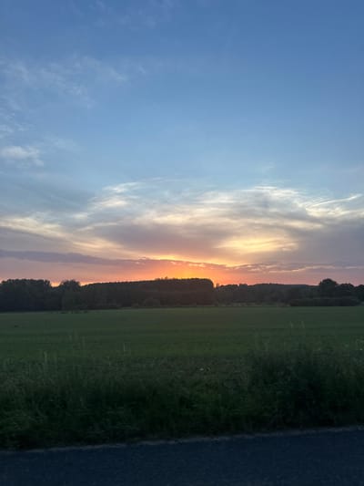 This is a photograph taken from a road in Sempigny, France, featuring a rural landscape at dusk. The sky dominates the upper portion of the image, transitioning from a clear, pale blue at the top to shades of pink, orange, and yellow near the horizon, indicative of a sunset. Wispy clouds stretch across the sky, catching the warm light of the setting sun. Below the sky, a dense line of dark green trees forms a tree line, suggesting a forest or a significant wooded area. In front of the trees, a wide, flat field of green grass stretches towards the foreground. The grass in the immediate foreground appears taller and more overgrown. The bottom of the image shows a dark asphalt surface, representing the road from which the photograph was taken. There are no people or man-made structures visible in the scene, aside from the road itself. The overall impression is one of a peaceful, natural environment at the end of the day.