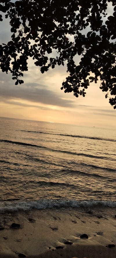 A silhouetted canopy of leaves frames the top of this vertical, outdoor, low-light photograph. The scene depicts a tranquil beach at sunset in Senggigi, Indonesia. The ocean occupies the middle and lower portions of the frame, with gentle waves lapping at the sandy shore. The water reflects the warm, golden hues of the setting sun, creating a serene atmosphere. The sky above is a blend of soft grays and oranges, with thin clouds stretching across the horizon. The sand in the foreground is dotted with a few dark pebbles, and the wet sand near the water's edge shows the subtle imprint of receding waves. A small, dark boat can be seen in the distance on the water, almost lost in the expanse of the sea. The overall impression is one of peace and natural beauty.