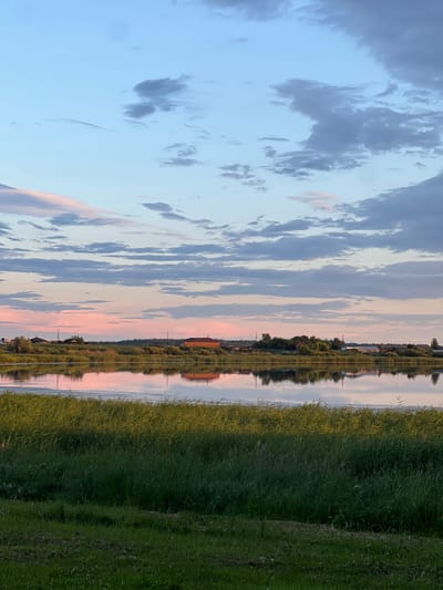 The image depicts a serene, late-evening landscape scene, likely during the summer solstice given the soft, lingering light. The sky transitions from a pale blue at the top to hues of pink and orange near the horizon, with scattered, wispy clouds. A still body of water, reflecting the sky and the distant shore, occupies the middle ground. On the far shore, a line of trees and several houses, one a prominent red-brick structure, are visible. In the foreground, lush green grass and tall reeds line the bank, partially obscuring the water's edge. The overall impression is one of tranquility and natural beauty. The location is identified as Pivkino, Russia. There are no people visible in the scene.