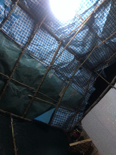 The image captures the interior of a rustic, makeshift structure with a roof constructed from branches, tarpaulins, and netting. The roof is layered, with a blue tarp featuring a white checkered pattern visible from the inside, partially covered by a green mesh tarp. Natural branches serve as structural supports, tied together with what appears to be zip ties. Gaps in the roofing allow natural light to enter, creating bright spots. In the lower right corner, a section of wall with a white, textured surface, possibly made of panels with a glittery or iridescent finish, is visible. Below this wall, a metal rack holding various objects, including what looks like a red bowl or container, is partially visible. The environment suggests a temporary or unfinished construction, possibly an outdoor shelter or a homemade greenhouse. No people are present in the frame. The location in Calfa, Moldova, is inferred based on the provided context, but not visually evident from the image itself.