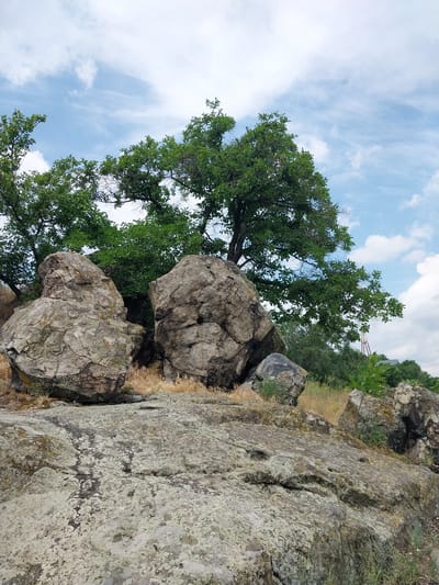 This image depicts a natural landscape scene featuring large rocks and trees under a partly cloudy sky. The foreground is dominated by a large, weathered rock formation with a textured, lichen-covered surface. Behind this, several other substantial boulders are visible, some partially obscured by dry grass. A dense cluster of green trees with lush foliage forms the midground and background. The sky above is a mix of blue and white clouds, with hints of distant structures and vegetation on the horizon. The scene is likely located in an outdoor, undeveloped area.