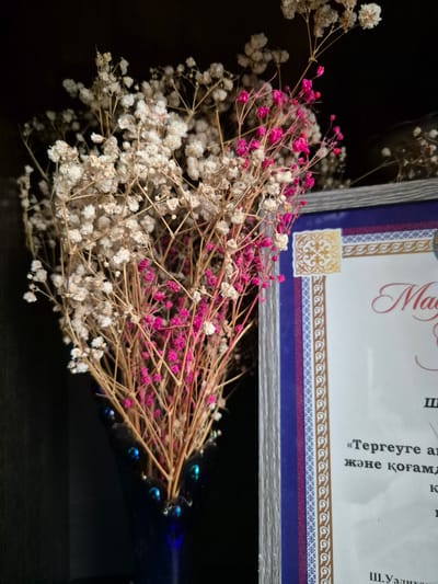 A still life image features a vase of dried baby's breath flowers, some of which are dyed pink, placed to the left of a framed document. The document, partially visible on the right, has ornate decorative borders in blue, purple, and gold. The flowers are delicate and have a wispy appearance. The background is dark, suggesting an indoor setting, possibly a shelf or a dark wall. The overall impression is one of a preserved or decorative arrangement, potentially associated with an award or certificate ceremony, given the presence of the framed document. There are no people visible in the image.