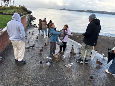 The image shows a group of people interacting with birds at the lakefront in Puerto Varas, Chile. In the foreground, two young girls are feeding a flock of pigeons and ducks. One girl holds a pigeon in her hand, while the other watches. An adult male in a black jacket and beanie stands nearby, seemingly involved in the feeding activity. Another adult, wearing a gray hoodie and light-colored pants, stands to the side, observing the scene.
In the background, other people are walking along the paved path by the lake. The water of Llanquihue Lake stretches into the distance, with Osorno Volcano obscured by clouds in the background. The sky is overcast and the ground is wet, suggesting recent rain. A small green lawn with a low wall separates the paved area from the lake. The paved area is covered with pigeons and ducks, drawn by the food being offered. A shopping bag stands near one of the adults.