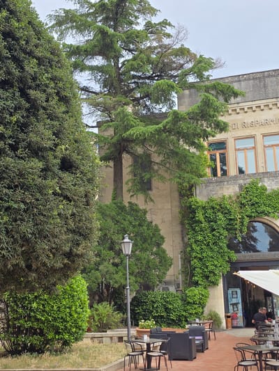 The image shows an outdoor seating area of a cafe or restaurant in the City of San Marino, San Marino. The cafe is situated in front of a stone building with an inscription "CASA DI RISPARMIO" visible. The building is adorned with ivy, and large windows are present. In the foreground, there are several tables and chairs, some of which are occupied by people. A prominent lamppost stands on the right side of the image. Lush green trees and bushes surround the area, with a very tall, mature tree with sparse foliage dominating the left side of the frame. The ground is paved with reddish bricks, and there is a pathway with a stone bench in the background. The sky appears overcast.