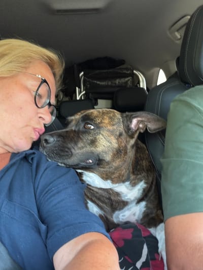 In Šlapanice, Czechia, a woman with blonde hair and glasses is in a car, leaning towards a brindle-colored dog. She is wearing a dark blue shirt. The dog, which appears to be a pit bull mix, is resting its head on the woman's shoulder. The interior of the car is visible, with black leather seats and the roof liner. Another person's shoulder, wearing a green shirt, is visible on the right side of the frame. The overall scene captures an intimate moment between the woman and her dog inside the vehicle.
