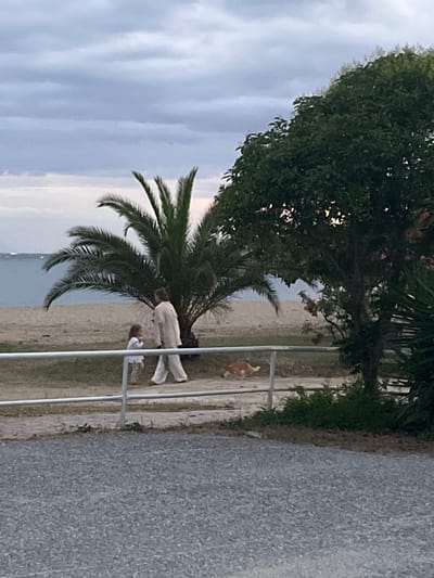 The image depicts a beach scene in Gerakini, Greece, during twilight. In the foreground, a gray, pebbled surface is visible, possibly a pathway or parking area. A metal railing runs horizontally across the middle ground, separating the foreground from the beach. Behind the railing, a sandy beach stretches towards the sea, which is visible in the background under a cloudy sky.

On the beach, a person in light-colored, loose-fitting clothing, possibly a woman, walks alongside a small child wearing a white outfit. They appear to be interacting. To the right of the adult and child, an orange and white cat is captured in motion, suggesting it is running or walking. Further to the right, a large green tree with dense foliage dominates the right side of the frame, with some smaller pink flowers visible. A palm tree is situated behind the adult and child. The overall lighting suggests it is either early morning or late evening.