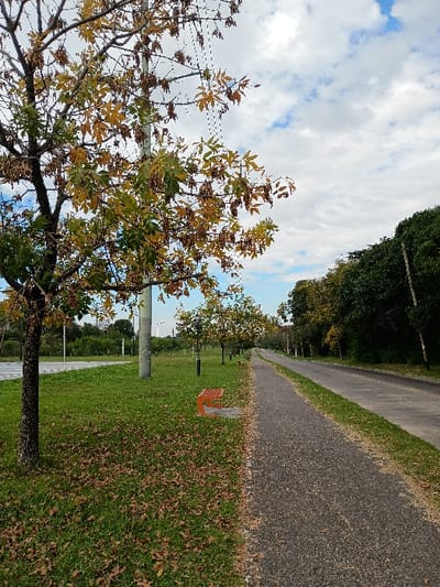 The image shows a paved pathway with a bench located on the left side of the path, partially obscured by a tree. The pathway runs through a park with trees lining both sides. The path is wide, made of grey asphalt, and appears empty. The trees on the left side of the path are bare with brown leaves scattered on the ground. There are also some trees in the distance to the right of the pathway with green leaves. The sky is partly cloudy. The image is taken in General Pacheco, Argentina, at coordinates -34.468 latitude, -58.632 longitude.