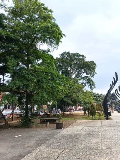 The image captures an outdoor scene, likely a public park or a wide promenade, characterized by abundant greenery and paved pathways under an overcast sky.
In the foreground, a paved path with two distinct textures occupies the lower half of the frame. The left side features a smoother, lighter grey surface, while the right side has a rougher, speckled grey texture. A small, white and grey cat sits calmly on a patch of dirt to the left of a dark potted plant, looking towards the right side of the image. A light-colored wooden stick or plank lies on the smoother paved area near the cat.
The midground is dominated by numerous lush green trees of various heights, their dense canopies indicating a thriving green space. A prominent, tall tree with a thick trunk stands in the center-left. To the far left, an elevated structure, possibly a pedestrian bridge or walkway, is visible with its metal railings and wooden support beams extending into the background. Behind the trees on the left, some buildings with red roofs and lighter-colored walls can be faintly seen.
Further down the pathway to the right, several individuals are seen walking casually, their figures appearing small in the distance. Along the right edge of the path, a series of distinctive dark, curved structures with black surfaces line the way. These structures appear to be artistic installations or decorative elements, and Arabic script is visible on their surfaces. Specifically, the word "الحميد" (Al-Hamid), meaning "The Praiseworthy," is discernible on one of them. Smaller, well-maintained bushes and conical-shaped plants are also present along this pathway.
The background shows more trees and the expanse of a light grey, overcast sky, suggesting a cloudy day without direct sunlight. The overall atmosphere appears peaceful and calm. The scene depicts a typical daytime setting, likely in a location with a tropical or subtropical climate, given the dense foliage. The presence of Arabic script suggests a cultural context in a region where Islam is prominent.