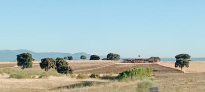 The image depicts a rural landscape under a clear blue sky. In the foreground, dry, tan grass covers the ground, with some sparse green shrubs and trees scattered throughout. A gently rolling terrain extends into the midground, where patches of tilled brown earth are visible, interspersed with more dry grass. Several scattered trees with dense green foliage are dotted across this area.
In the mid-to-background, a small cluster of buildings forms a farm or rural settlement. The structures appear to be red-roofed and are situated on a slight incline. Further in the distance, a range of hazy blue mountains forms the horizon line, with a clear, pale blue sky above. The overall impression is one of a sunny, arid rural environment. The scene is likely located in the vicinity of Santa Cruz del Retamar, Spain, given the characteristic vegetation and landscape.