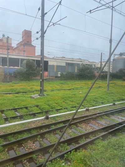 A view from a train, showing parallel tracks and an overgrown area between them with green and yellow vegetation. Overhead power lines are visible. Industrial buildings and a cityscape are in the background, under a cloudy sky. One structure appears to be reddish-brown, resembling a factory or warehouse. The tracks themselves are weathered with small plants growing within the ballast.