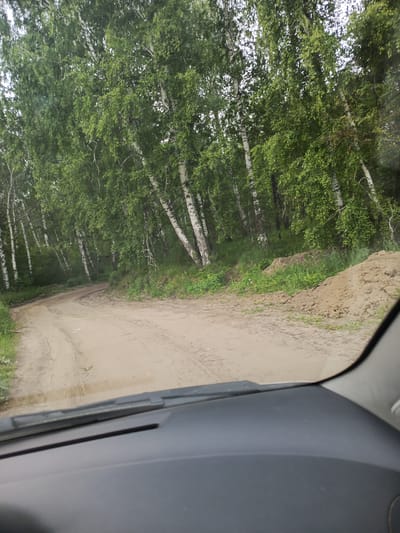 The image shows a dirt road winding through a birch forest. The trees are tall and slender with white bark and green leaves. The road is dusty and appears to be unpaved. There are piles of dirt on the side of the road, possibly from construction or maintenance. The sky is overcast, suggesting a cloudy day. The perspective is from inside a vehicle, looking out through the windshield. The dashboard and part of the windshield wiper are visible in the foreground. The overall impression is of a rural or semi-rural environment. This scene could be located near Meget, Russia, which is known for its birch forests and unpaved roads.