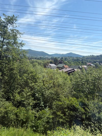 This is an outdoor, eye-level, vertical, full shot image of a village nestled in a valley with a backdrop of lush, green, tree-covered mountains under a partly cloudy sky with visible power lines stretching across the frame. The foreground is dominated by dense, green foliage, with a hint of tall grass at the bottom. Behind the foliage, the village comes into view, featuring several houses with varying roof colors (brown, green, orange) and architectural styles. One prominent building has a distinctive dark-colored, steeple-like roof structure. The houses are interspersed with trees, creating a sense of a rural community integrated with nature. The distant mountains are shrouded in a light haze, suggesting a significant distance. The sky is a clear blue with scattered white clouds, and several thin, dark power lines are strung across the upper portion of the image, running horizontally from left to right. The scene depicts a tranquil, picturesque view of a Ukrainian village, likely Mykulychyn, known for its natural beauty and mountainous terrain. There are no people visible in the image, and the focus is on the landscape and the village architecture.