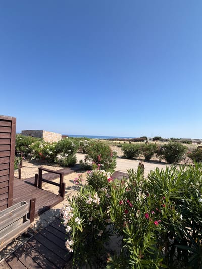 The image depicts a serene coastal scene in Moudros, Greece. The foreground features a wooden deck with dark brown planks, partially shaded by lush green foliage. A dark wooden bench is visible on the deck, suggesting a place for relaxation or contemplation. Beyond the deck, a sandy path winds through abundant flowering bushes, adorned with delicate white and pink blossoms.
To the left, a stone building with a rustic texture stands against the backdrop of a vast, clear blue sky. The horizon line, marked by the distant sea, is almost perfectly horizontal, creating a sense of expansive calm. The vegetation appears healthy and vibrant, indicative of sunny weather. The play of light and shadow on the wooden structures and plants suggests it is daytime, likely mid-morning or afternoon, given the clear sky and the angle of the sun.
The overall atmosphere is one of tranquility and natural beauty. The scene evokes a sense of peace and a connection with the coastal environment. There are no visible people or text in the image. The location cues, such as the Mediterranean-style stone building and the typical coastal flora, combined with the provided location context, firmly place the scene in Moudros, Greece.