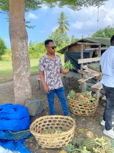 The image shows a man in a brown and white patterned shirt and blue jeans standing in front of a wooden stall, holding a pineapple. He is standing on the ground, which is covered in a layer of leaves. There are three large baskets filled with pineapples, two are on the ground and one is on the stall. The stall is made of wood and has a black canvas awning. The stall is located in the village of Bagamoyo, Tanzania, at coordinates -6.472, 38.911. There is a large tree in the background. A second man is standing behind the stall, partially visible, wearing a white shirt and blue jeans.