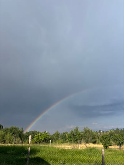 The image depicts a rural landscape under a cloudy sky with a rainbow arc visible. The foreground features a green grassy field enclosed by a chain-link fence with visible fence posts. Beyond the field, a line of green trees and shrubs stretches across the horizon. In the distance, mountains are faintly visible under the overcast sky. The scene appears to be set in the agricultural area of Жібек жолы ауылдық округі, Kazakhstan, suggesting a natural environment possibly following a rain shower. There are no people or animals visible in the frame.