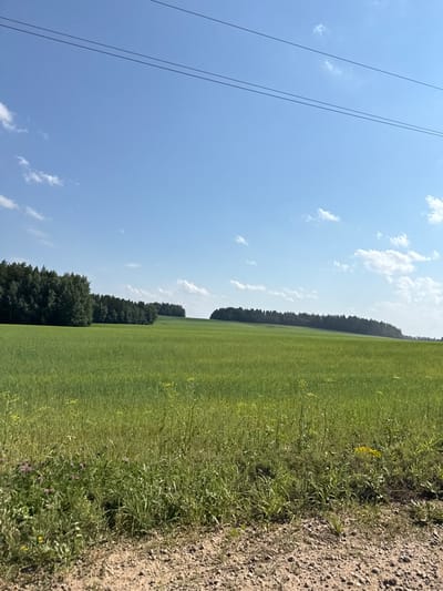 The image depicts a rural landscape under a clear blue sky with scattered white clouds. In the foreground, a dirt path is visible, leading to a vibrant green field that stretches towards a line of dark green trees in the mid-ground. The field appears to be a crop, possibly wheat or barley, with some wildflowers interspersed. The trees form a dense forest that follows the gentle undulation of the terrain. Power lines are faintly visible against the sky in the upper portion of the image. The location is specified as Бабка, Russia.