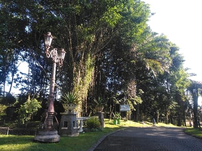 The image depicts an outdoor scene in the city of Batulawang, Indonesia, featuring a paved road or pathway under bright daylight. In the foreground, an ornate dark-colored lamppost with three fixtures stands on a grassy verge to the left of the path. Adjacent to the lamppost are stone pedestals supporting white planters, one prominently holding a spiky green plant. The paved surface, resembling cobblestone, curves from the lower left towards the center and extends into the distance, flanked by dense, tall green trees. On the left side of the path in the midground, a white informational sign with dark text is visible near green plant pots. A single individual, dressed in light-colored attire, is positioned on the paved path in the midground, facing away from the camera. The trees, particularly on the left, display numerous hanging aerial roots. A clear sky is visible above the tree canopy, and distinct shadows are cast by the strong sunlight. Another lamppost is distantly visible on the right side of the path.