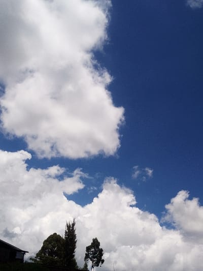 The image presents an outdoor scene in Nachu ward, Kenya, dominated by a dynamic sky and a foreground featuring vegetation and a partial structure. The upper and upper-right portions of the frame display a clear, deep blue sky. Large, white cumulus clouds with defined edges are prominent, occupying the upper-left and lower half of the frame, with additional smaller cloud formations scattered across the mid-ground. In the lower-center and lower-right, three dark green trees are visible: a tall, slender conifer, a broader-canopied deciduous tree situated to its left, and a smaller deciduous tree to its right. The extreme top-left corner shows a dark, silhouetted roofline and the upper section of a building, partially obscured by foliage. The scene is brightly illuminated, consistent with daytime conditions. No individuals, direct actions, or interactions are visible.