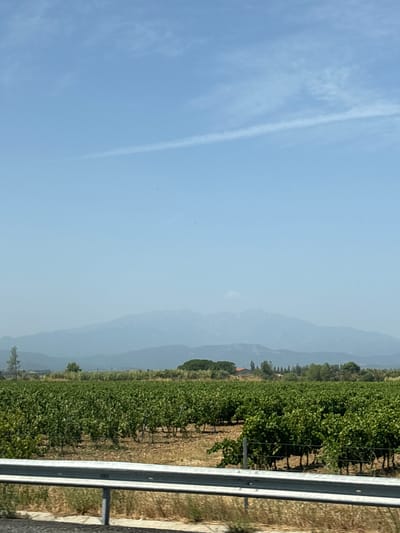 The image depicts a rural landscape under a clear blue sky with a faint contrail. In the foreground, a metal guardrail runs horizontally across the frame, separating the viewer from dry, scrubby vegetation. Beyond the guardrail, a vast vineyard stretches out, with rows of lush green grapevines. The soil in and around the vineyard appears dry and brown. In the mid-ground, scattered trees and a small building with a red roof are visible. The background is dominated by a range of hazy blue mountains. The scene appears to be a roadside view of agricultural land and distant mountains. Given the context provided, this scene is located in Ponteilla, France.