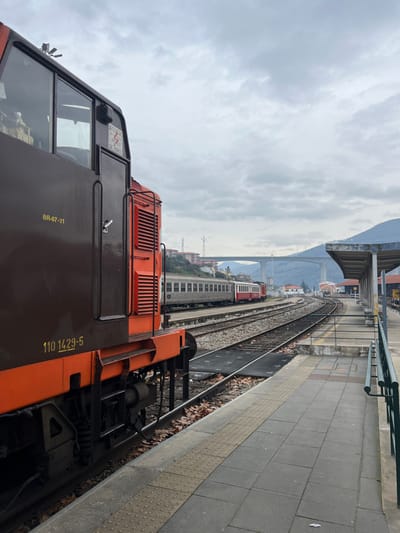 The image presents a static railway scene at the train station in Peso da Régua, Portugal, under an overcast sky. In the immediate foreground, to the left, is the dark brown and orange side of a locomotive, displaying the identifiers "BR-07-21" and "110 1429-5". A warning sticker "ATENÇÃO PERIGO DE MORTE" (Attention Danger of Death) with a lightning bolt symbol is affixed to the cab door. Adjacent to the tracks on the right, a concrete-tiled train platform with tactile paving at its edge recedes into the distance, bordered by a dark green metal railing. Dry leaves are scattered on the ground near the track ballast.

In the midground, multiple railway tracks converge and curve towards the background. A second train, comprising several silver passenger carriages and a red-accented rear car, is visible on a parallel track further down the line. The background features rolling green hills and mountains. A large, light-grey concrete bridge, likely a road bridge, spans across the landscape. Buildings and utility poles are discernible on the distant hillsides. The sky is uniformly grey and heavily clouded. No individuals are present in the scene, and no discernible actions are occurring.