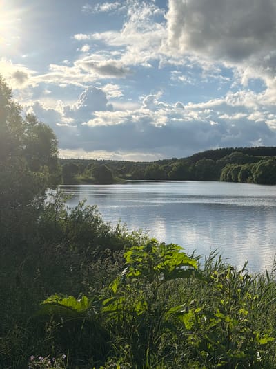 A serene landscape unfolds with a wide, calm body of water reflecting the sky. The water's surface is rippled, with a gentle sheen from the sunlight. The foreground is densely populated with lush green vegetation, including large, broad leaves and tall grasses, with a few small purple flowers visible near the bottom left. In the mid-ground, the water stretches towards a tree-lined shore, with hills covered in dense green foliage forming the backdrop. The sky above is a dynamic canvas of blue interspersed with dramatic clouds. Sunlight breaks through the clouds in the upper left quadrant, casting rays and illuminating parts of the sky and landscape. The overall scene evokes a peaceful, natural environment, likely in a rural setting. This photograph was taken in the vicinity of the village of Satino-Russkoe, in the Moscow Oblast of Russia.